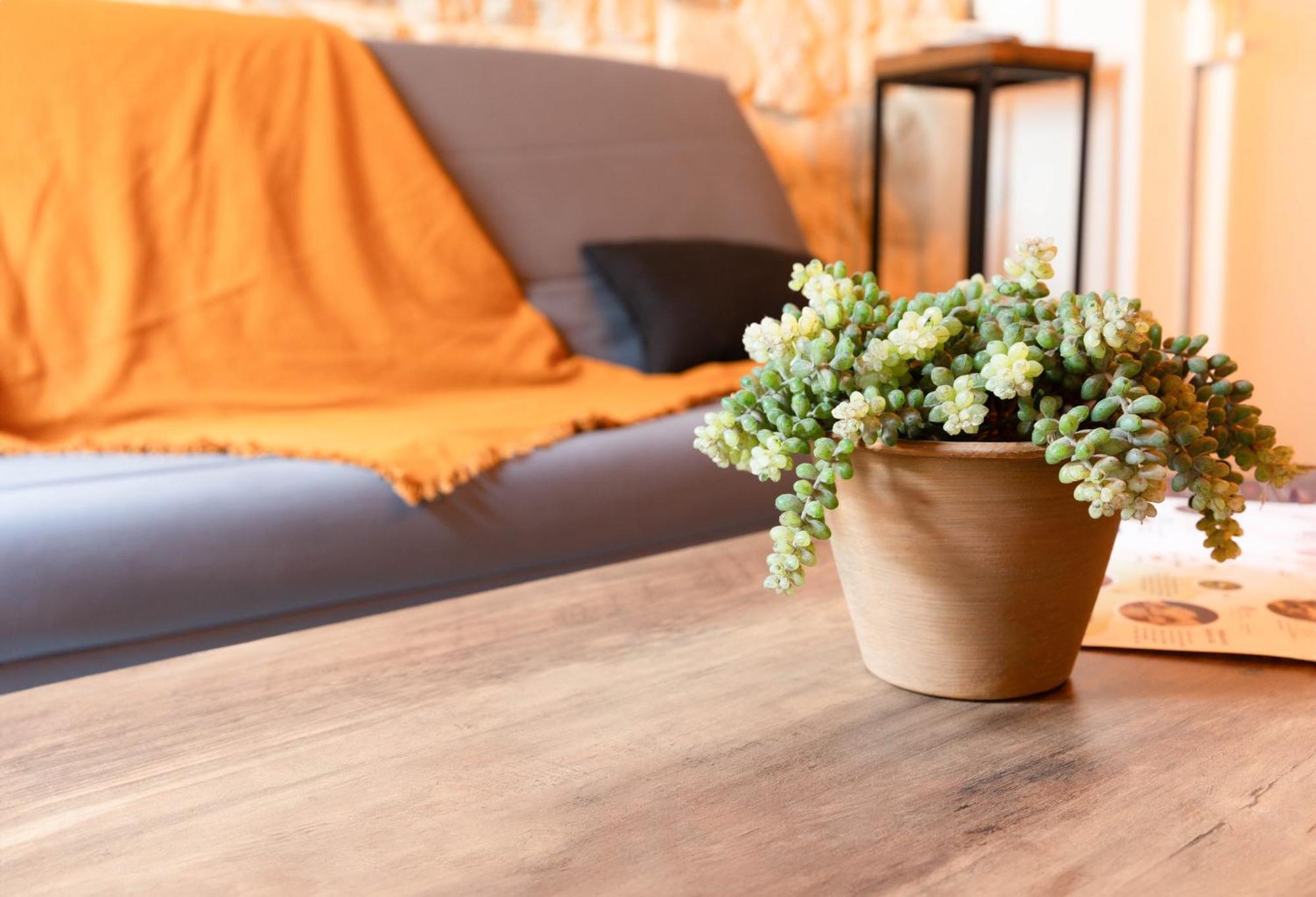 Immeuble 3 Apparts Centre Historique St Gilles Maisoncarreeconciergerie Сан-Жил Екстериор снимка